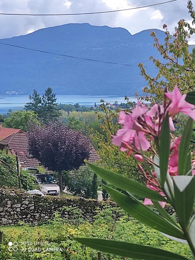 Du Vent Dans Les Arbres -120M2 Belle Vue Sur Le Lac Chindrieux Eksteriør billede