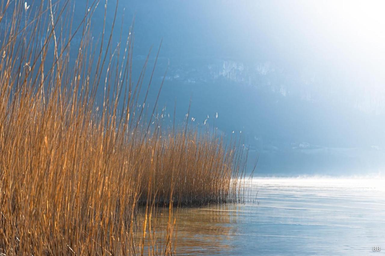 Du Vent Dans Les Arbres -120M2 Belle Vue Sur Le Lac Chindrieux Eksteriør billede