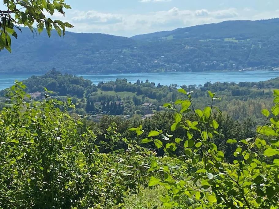 Du Vent Dans Les Arbres -120M2 Belle Vue Sur Le Lac Chindrieux Eksteriør billede